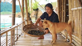 Journey to Harvest Bamboo Shoots and Snails River Survival  EP363 [upl. by Irrep]