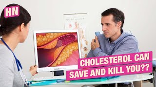 Whats the Difference Between HDL and LDL Cholesterol cholesterol [upl. by Nivert]