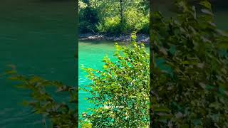 Sauk River and Skagit River WA shorts [upl. by Aerdno462]