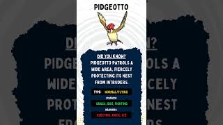 PIDGEOTTO Type Strength Weakness [upl. by Horter]