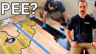 Refinishing A Wood Floor With Dark amp Nasty Stains What to do about it [upl. by Amati593]