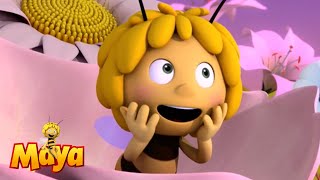 Maya Learns About The Beautiful Moonflower  Maya the bee🍯🐝🍯 [upl. by Alcus246]