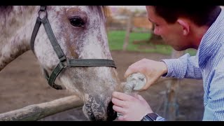 SOLEO  HEJ WINA LEJ  OFFICIAL VIDEO NOWOŚĆ [upl. by Ford]