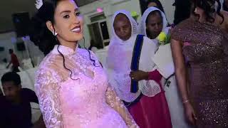 Eritrean tigrna wedding robel tesfay live music 2023  መጺኻለይ ዶ [upl. by Eibrab]