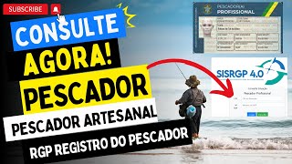 RGP CARTEIRA PESCADOR PROFISSIONAL CONSULTAR [upl. by Assereht556]