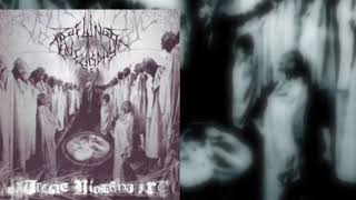 Profundis Tenebrarum  Extreme Violent Art full Album2004 [upl. by Yokum]