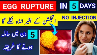 Rupture Egg in 5 Days And Get Pregnancy Fast Home Remedy For Egg Rupture Ovulation Tips [upl. by Hatty223]