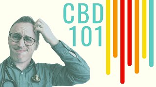 CBD Oil 101 Doctor Explains for ABSOLUTE beginners [upl. by Ahsla371]