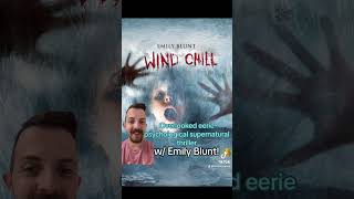 Wind Chill Movie Review [upl. by Odranar623]