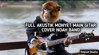 Full Akustik Monyet Main Gitar  Cover Noah Band [upl. by Petunia]