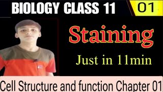 What is Staining Class 11 Biology Chapter 1 Lecture 1 [upl. by Anairda]