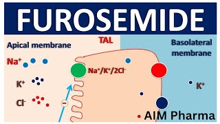 Furosemide Lasix  Uses Dosage and Side Effects of FurosemidePharmacology 2023AIM Pharma [upl. by Rochette]