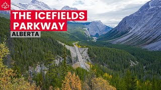 Driving the ICEFIELDS PARKWAY from Lake Louise to Jasper Alberta [upl. by Eizle]