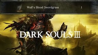 Dark Souls 3 How to farm Wolfs Blood Swordgrass [upl. by Medrek230]