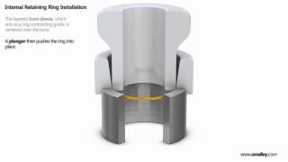 Retaining Ring Automated Installation  Internal  Housing [upl. by Chic662]