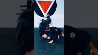 Aikido Martial Fusion Training Drill [upl. by Shererd]