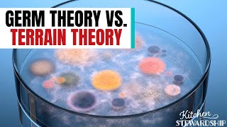 Terrain Theory Versus Germ Theory  Understanding Your Immune System [upl. by Yasibit164]