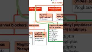 Pharmacology DPP4 inhibitors SitaGliptin Vildagliptin viva [upl. by Lenor965]