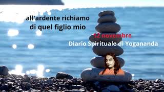 12 novembre la gioia della meditazione [upl. by Janenna]