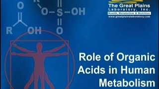 Interpretation of the Organic Acids Test by Dr William Shaw [upl. by Stearns]