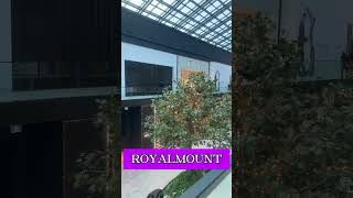 Montreal•MontRoyal ROYALMOUNT Luxurious Mall Shopping Royalmount sang trọng Nov012024 [upl. by Avrenim428]