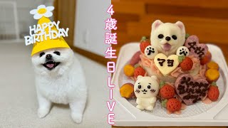 ㊗️４歳の誕生日記念／生マヨLIVE [upl. by Adara]