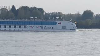 Flusskreuzfahrtschiff AROSA auf dem Rhein bei Rees flussaufwärts 181024 [upl. by Lienet]