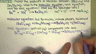 Chem121 Precipitation Reaction Spectator Ions and Net Ionic Equations 83 [upl. by Alain]