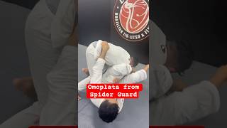 Omoplata From Spider Guard  COBRINHA BJJ [upl. by Atilol405]