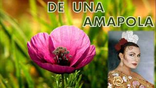 La historia de una amapola Rocío Jurado [upl. by Gardel]