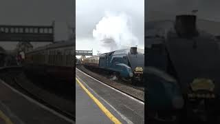 4464 quotBitternquot 10yearsago short steamtrain steam train railway railtour shortvideo shorts [upl. by Alvis]