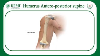 Humerus AnteroPosterior Supine View  Xray Radiographic Patient Positioning [upl. by Ayekat758]