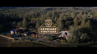 Overview of Cathiard Vineyard in the Mayacamas Mountains of Napa Valley [upl. by Eiznekcam13]