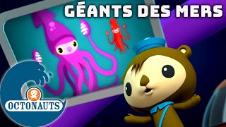 Octonauts  Géants des mers  Dessins animés pour enfants [upl. by Edac]