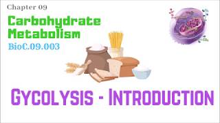 BioC09003Glycolysis 110 – Introduction  Dr Prashant Sharma [upl. by Innis]