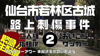 仙台市若林区古城路上刺傷事件 時効直前特集 考察編 【ミステリーアワー】未解決事件の謎を追う [upl. by Aeiram]