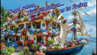 Segel setzen heut ist Freitag ⛵ wir segeln ins Wochenende ⚓ liebe Grüße von mir 🌞 [upl. by Fein]