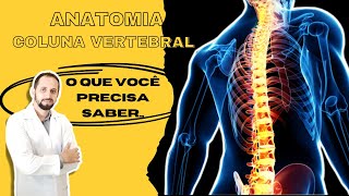 Anatomia da Coluna Vertebral  divisões e articulações [upl. by Ibocaj824]