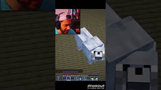 HIMLAND in funny moments YesSmartyPie minecraft shorts gaming [upl. by Novert]