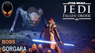 Star Wars Jedi Fallen Order  Tuer le BOSS  Gorgara  La Chute de Gorgara  Trophée [upl. by Ytsirt]