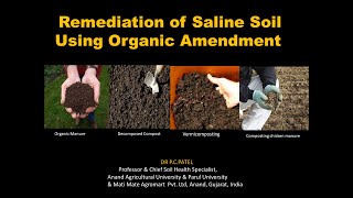 Remediation of Saline Soil Using Organic Amendment  Dr P C Patel [upl. by Atinit]