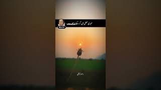 Jitne Bhi Zakham Hai Mere Dil Par Nusrat Fateh Ali Khan  Nfak Mr01 best 4k youtubeshorts yt [upl. by Syxela]