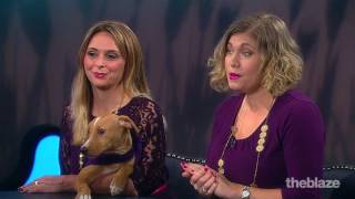 SPCA Texas Paint the Town Purple  Tomi [upl. by Iney]