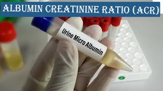 Albumin Creatinine Ratio ACR  How to Calculation ACR  with Normal Value [upl. by Nethsa]