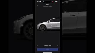 Tesla App Update 4385 [upl. by Nylia]