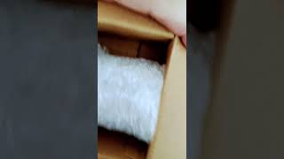 Unboxing video dowser healing products trending viralvideo shorts [upl. by Eimile]