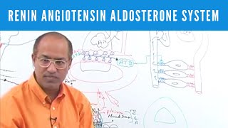 Renin Angiotensin Aldosterone System  RAAS👨‍⚕️ [upl. by Vogel]