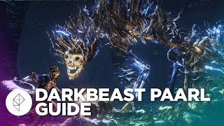 Bloodborne Boss Guide How to beat Darkbeast Paarl [upl. by Placido]