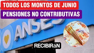 🛑Montos a Cobrar💲 por TODAS❗ las Pensiones No Contributivas de ANSES en Junio de 2024 [upl. by Ablem]