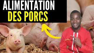 ALIMENTS des PORCS pour une BONNE CROISSANCE NOURRITURE des porcs pour un bon rendements INVESTIR [upl. by Bernelle]